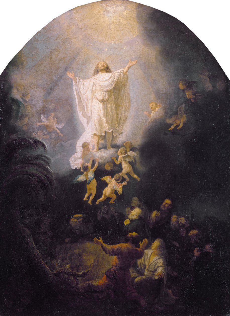 A ascensão de Rembrandt van Rijn