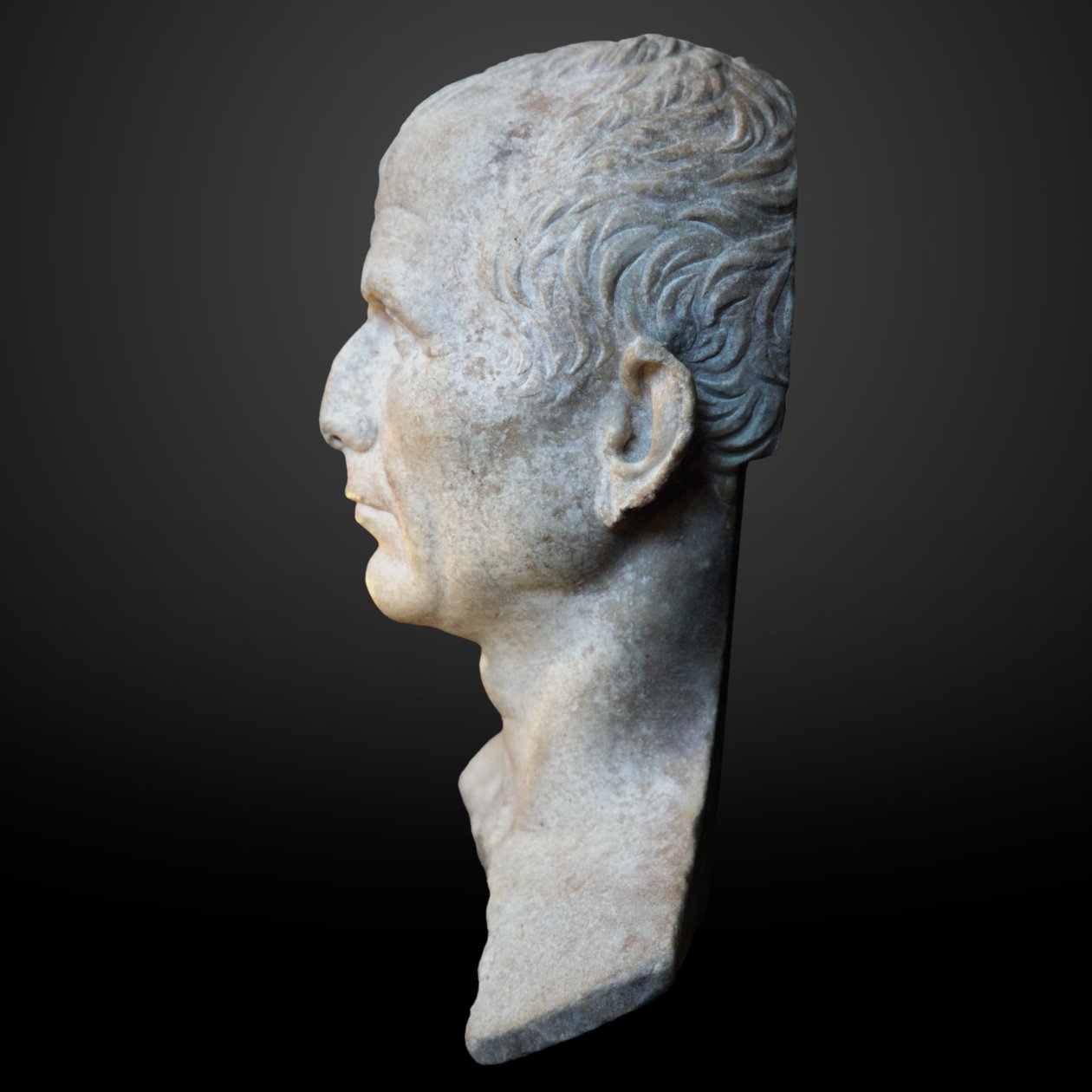 Presumido busto de César de Unknown
