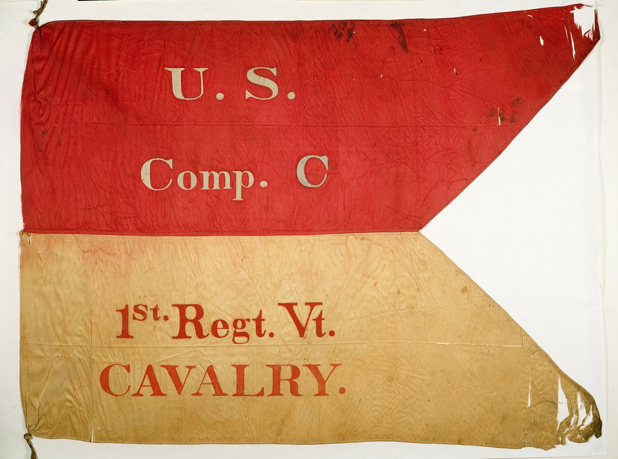 Guidon Flag (têxtil) de American School