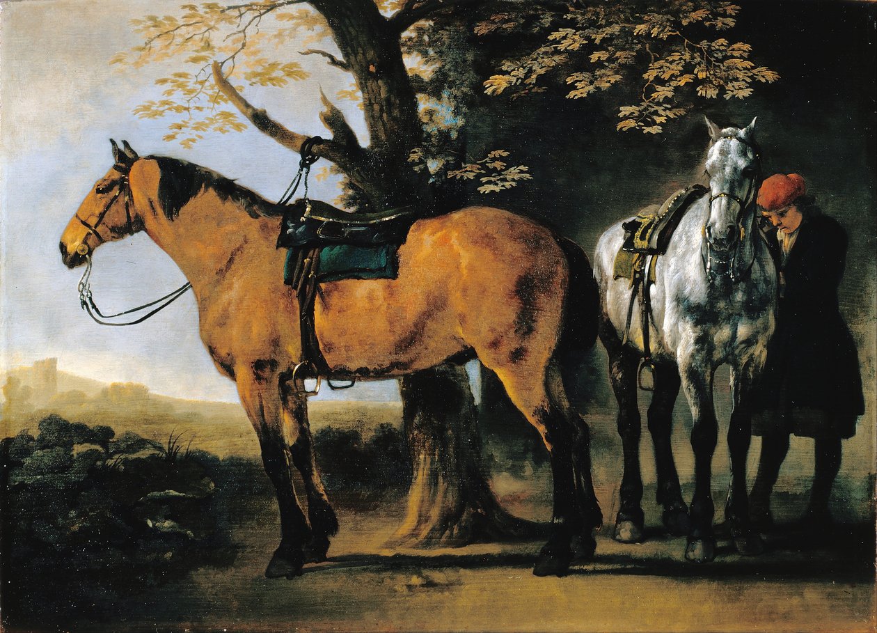 Dois cavalos de Abraham van Calraet