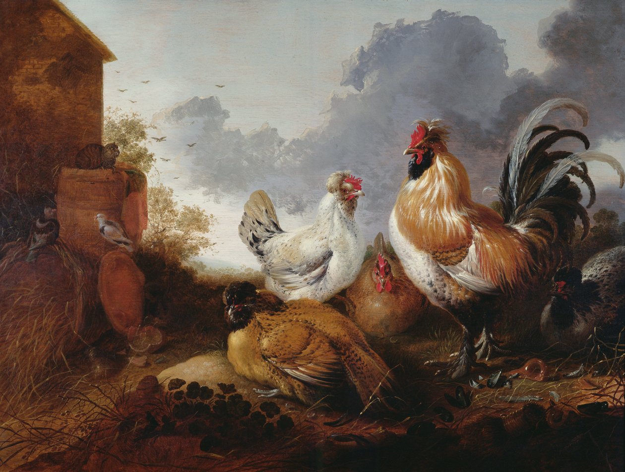 Aves em um curral de Abraham van Calraet