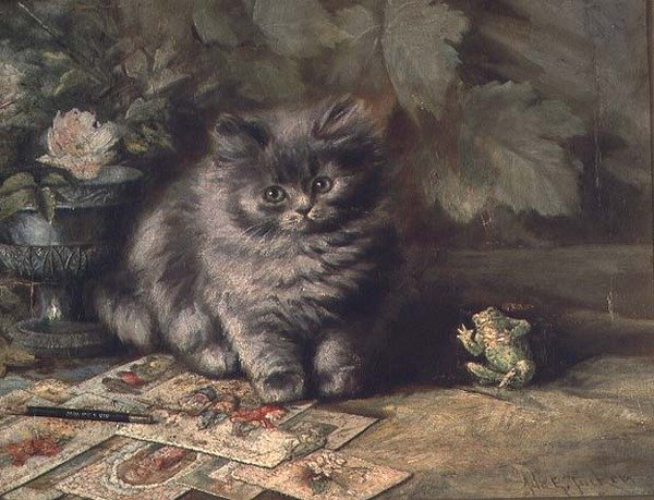 Um retrato de um gatinho de Ada Eliza Tucker