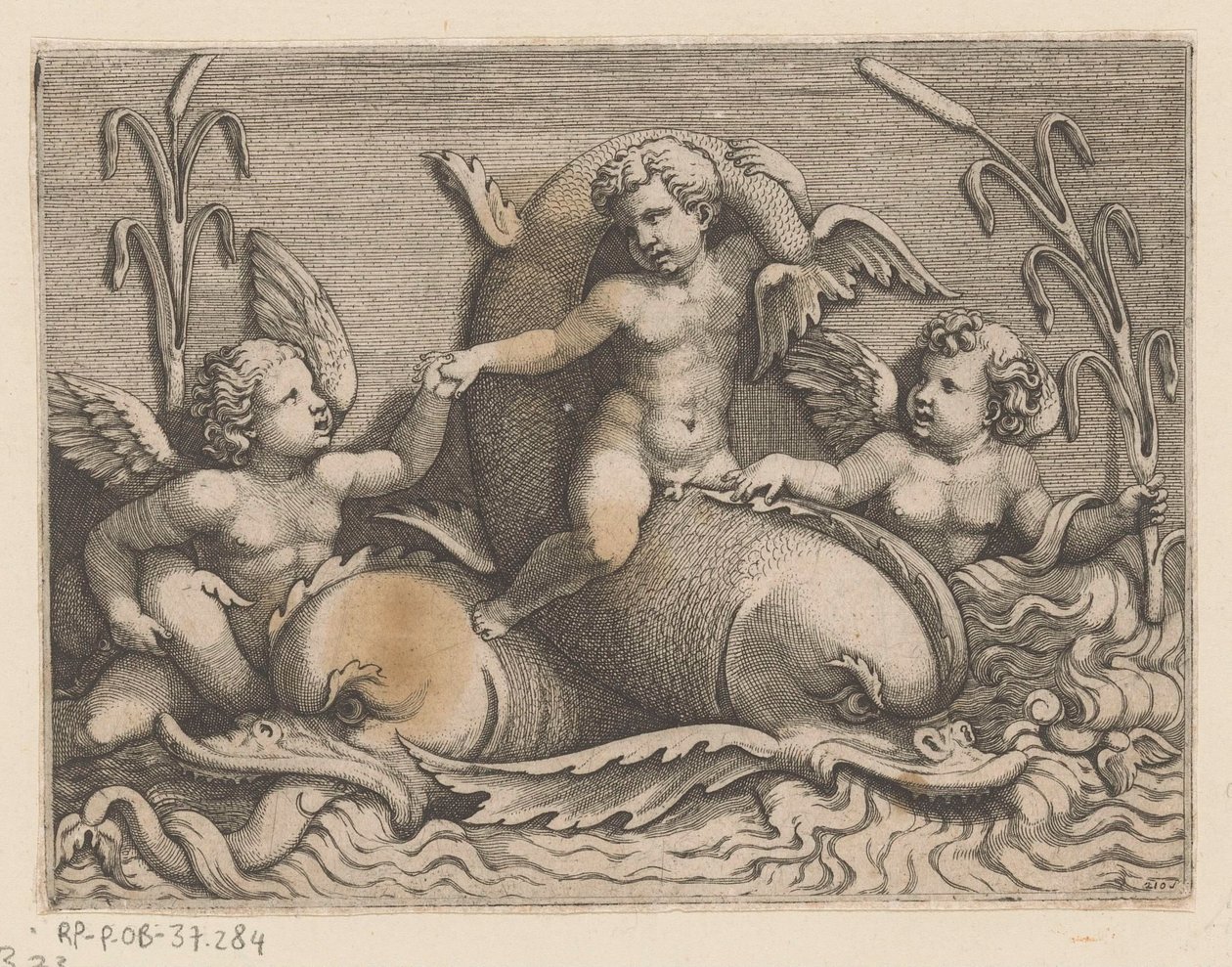 Três putti com golfinhos de Adamo Scultori