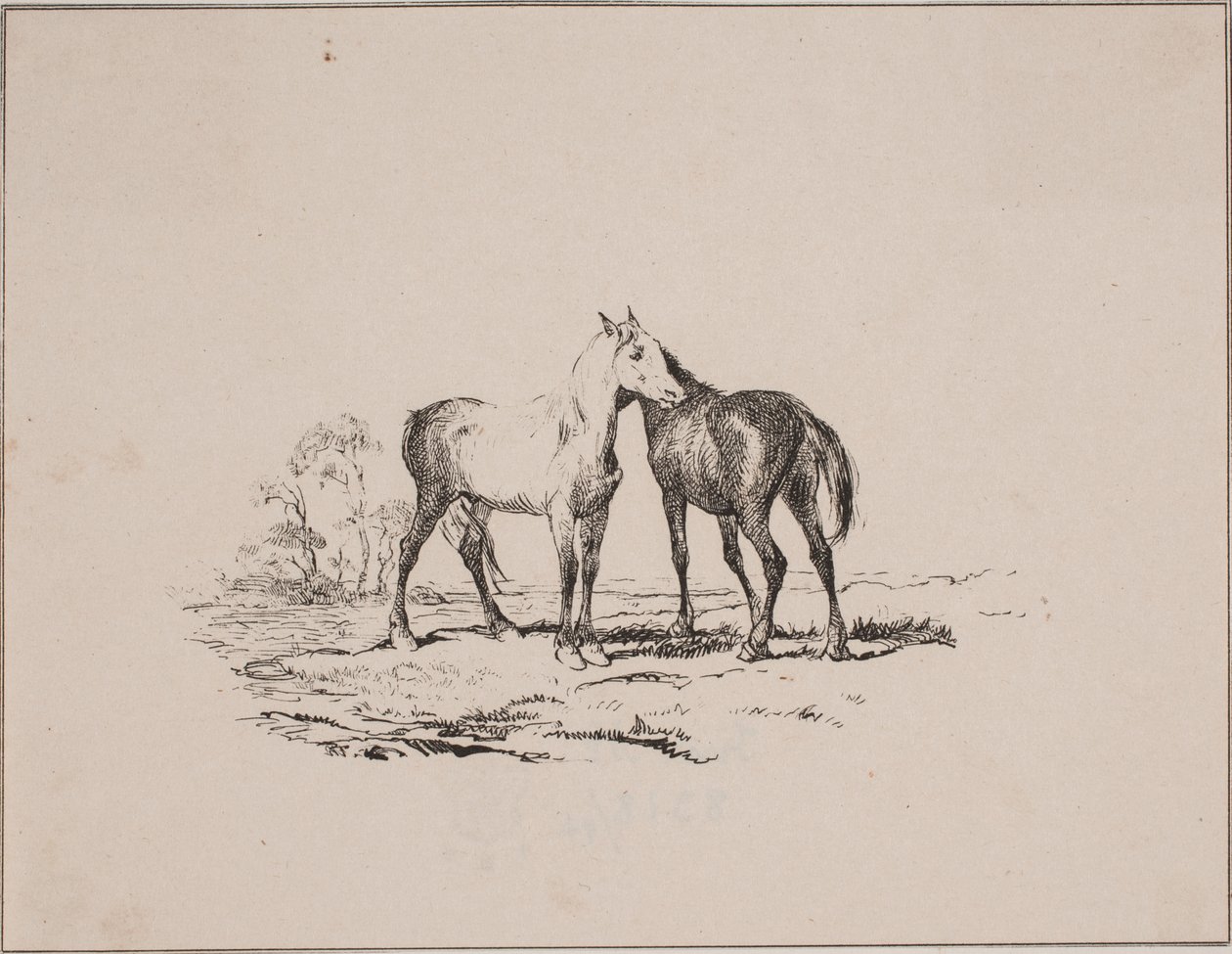 Os dois cavalos de Johan Adolph Kittendorff