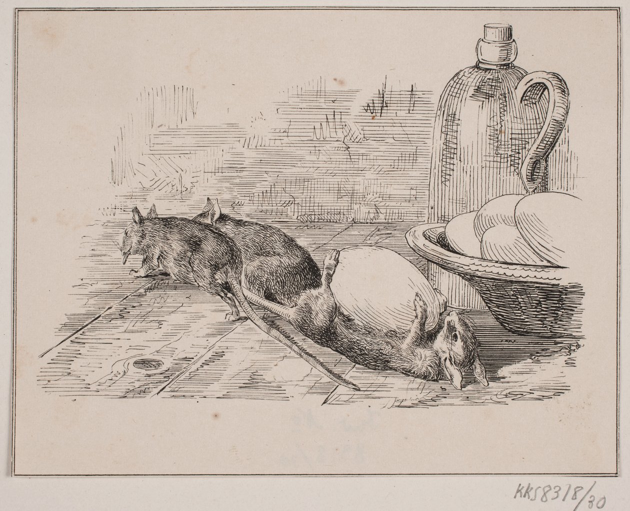 Os ratos de Johan Adolph Kittendorff