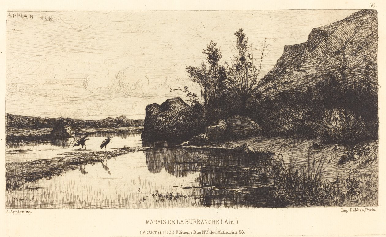 Pântano do Bururbanche de Adolphe Appian