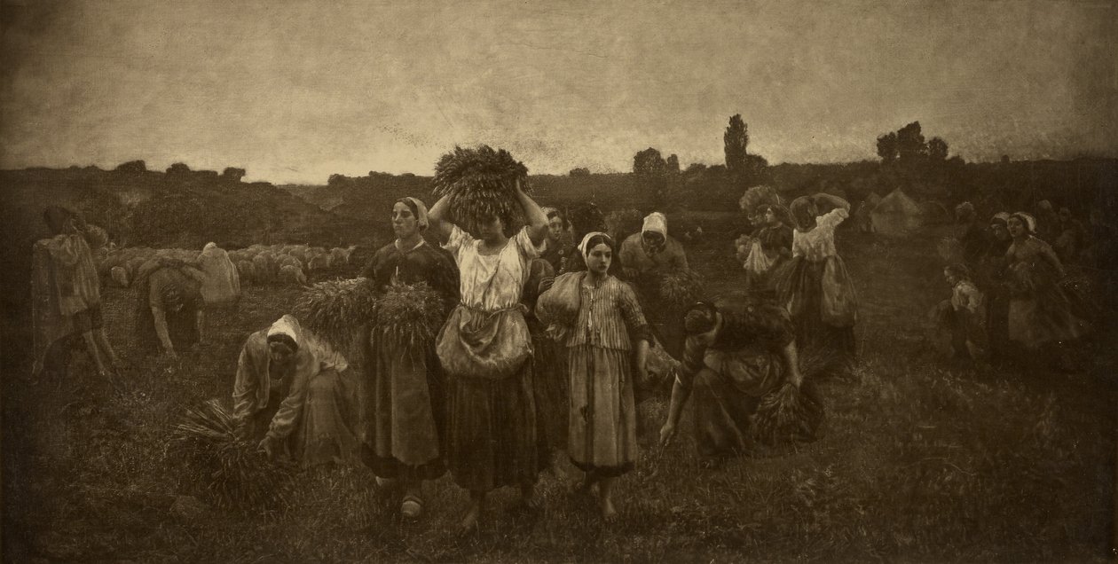 Chamar os respigadores de Adolphe Braun