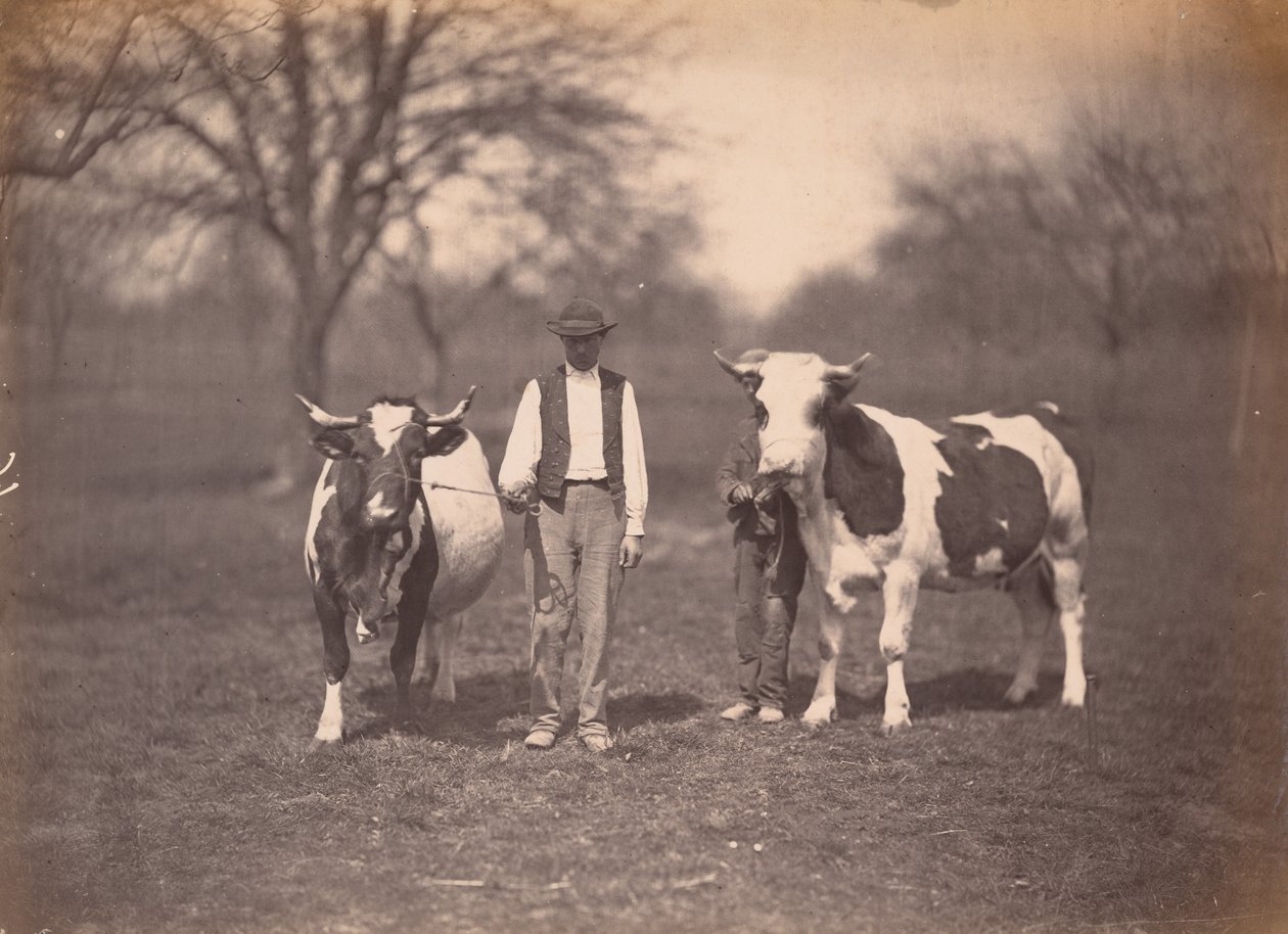 Paisagem,c. 1864 (foto) de Adolphe Braun
