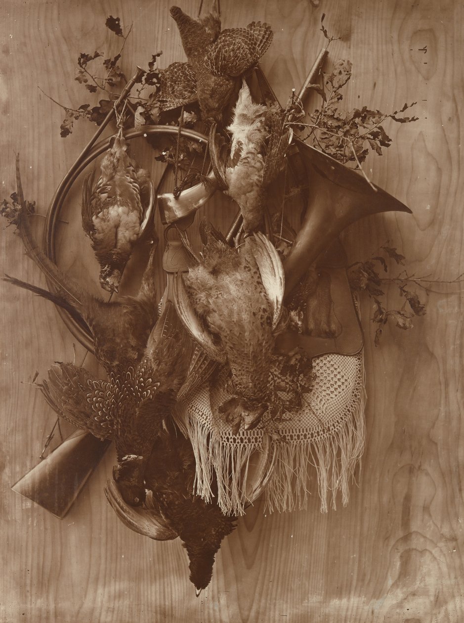 Faisão e Grouse, c. 1865. de Adolphe Braun