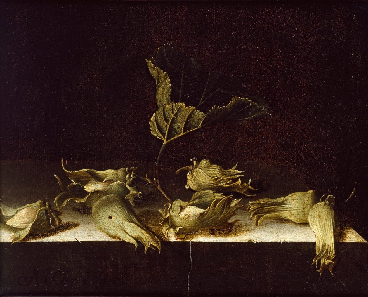 Natureza morta com avelãs, 1696 de Adrian Coorte
