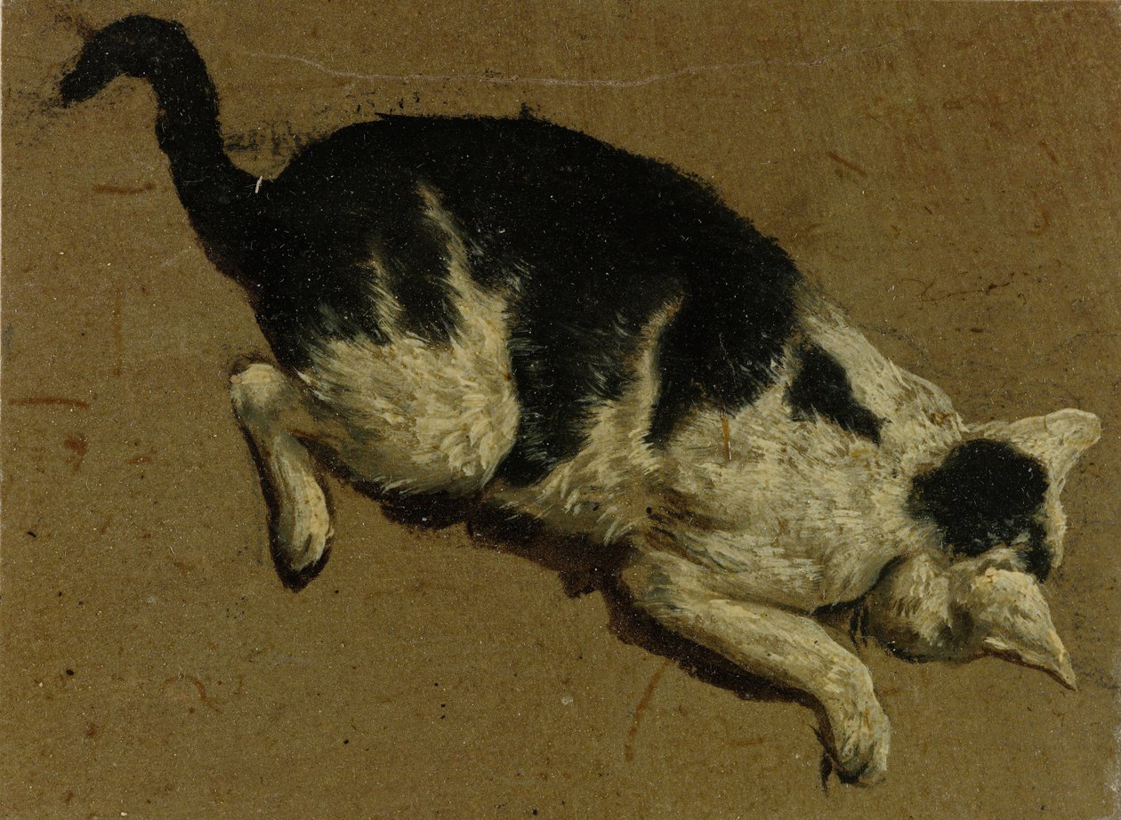 Gato de cima (desenho de pincel) de Adriaen van de Velde