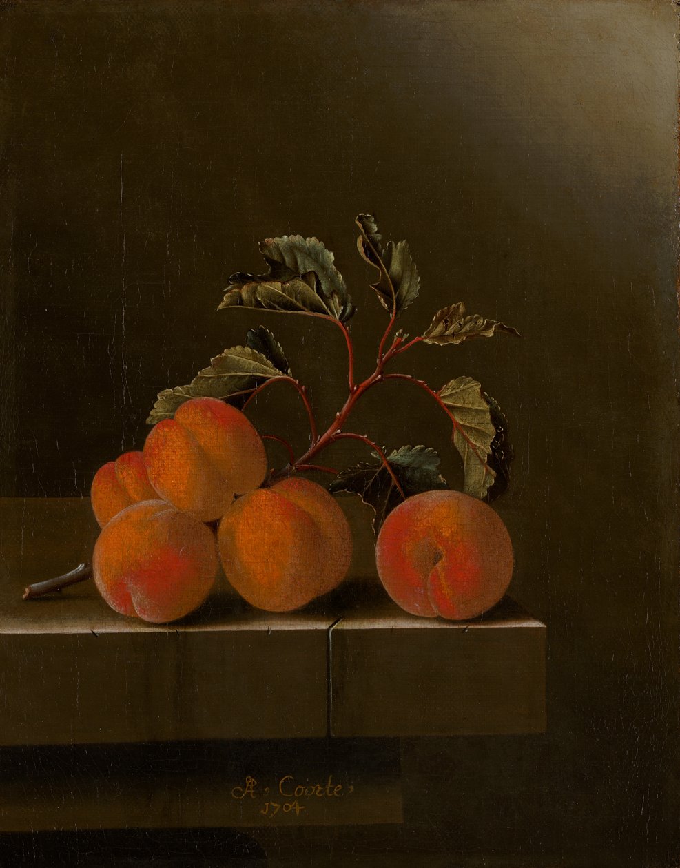 Ainda vida com cinco damascos, 1704 de Adrian Coorte