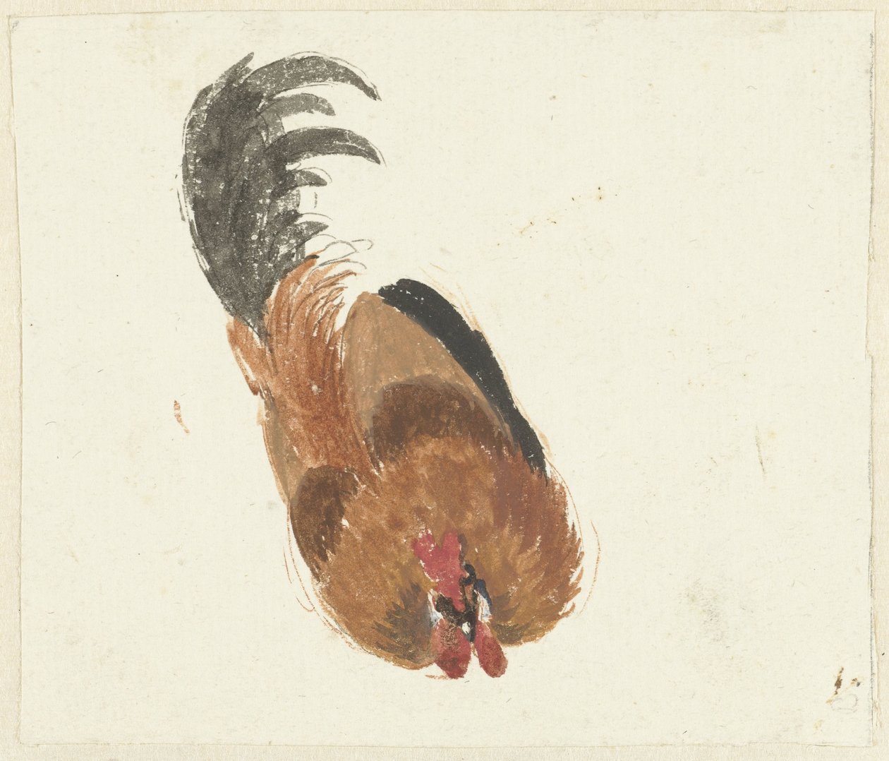 Estudo de um galo morto de Aert Schouman