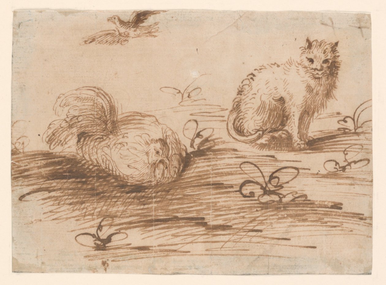 Um gato e uma galinha de Agostino Carracci