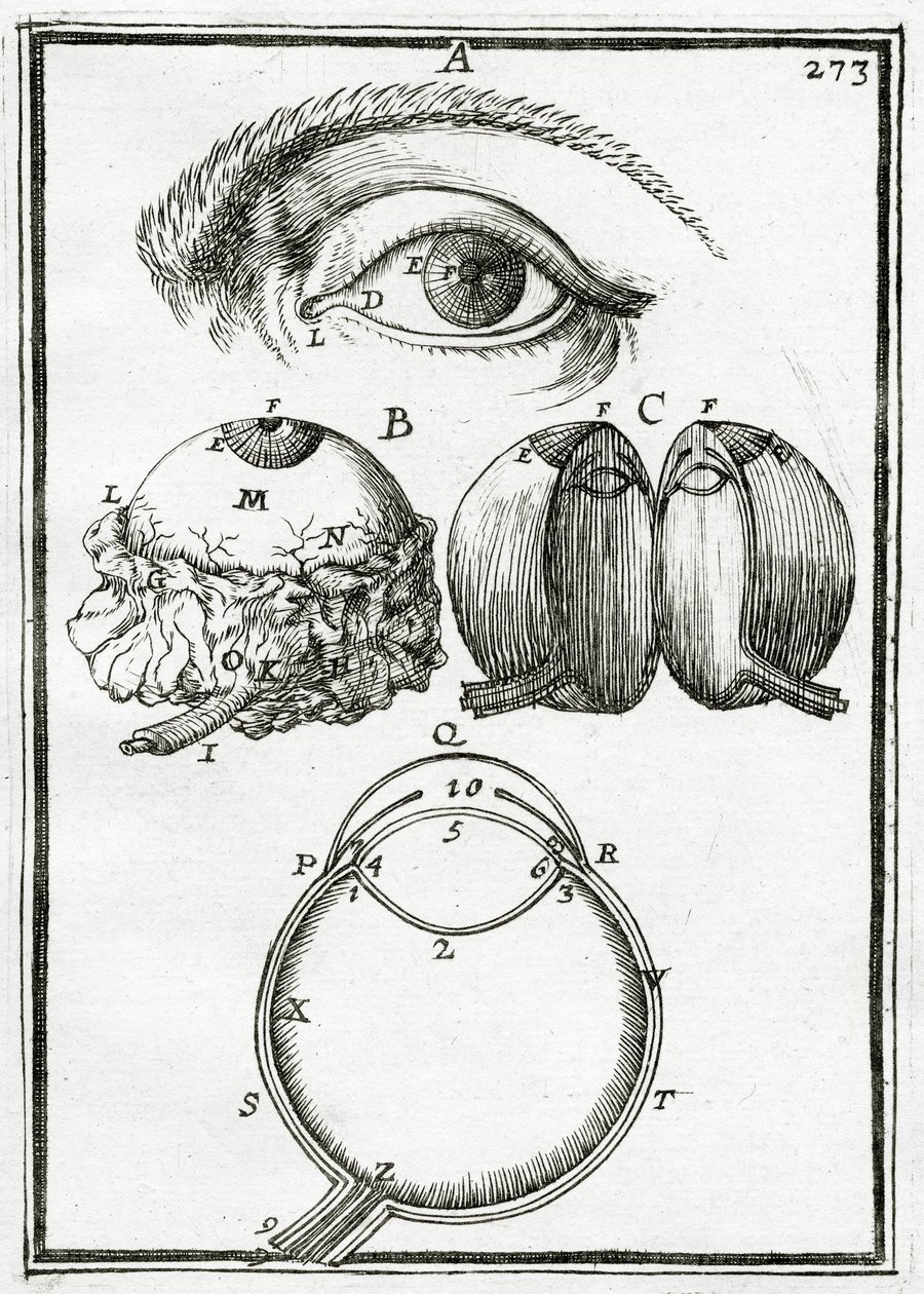 Ilustração da Geometria Prática 1702, de Alain Manesson Mallet