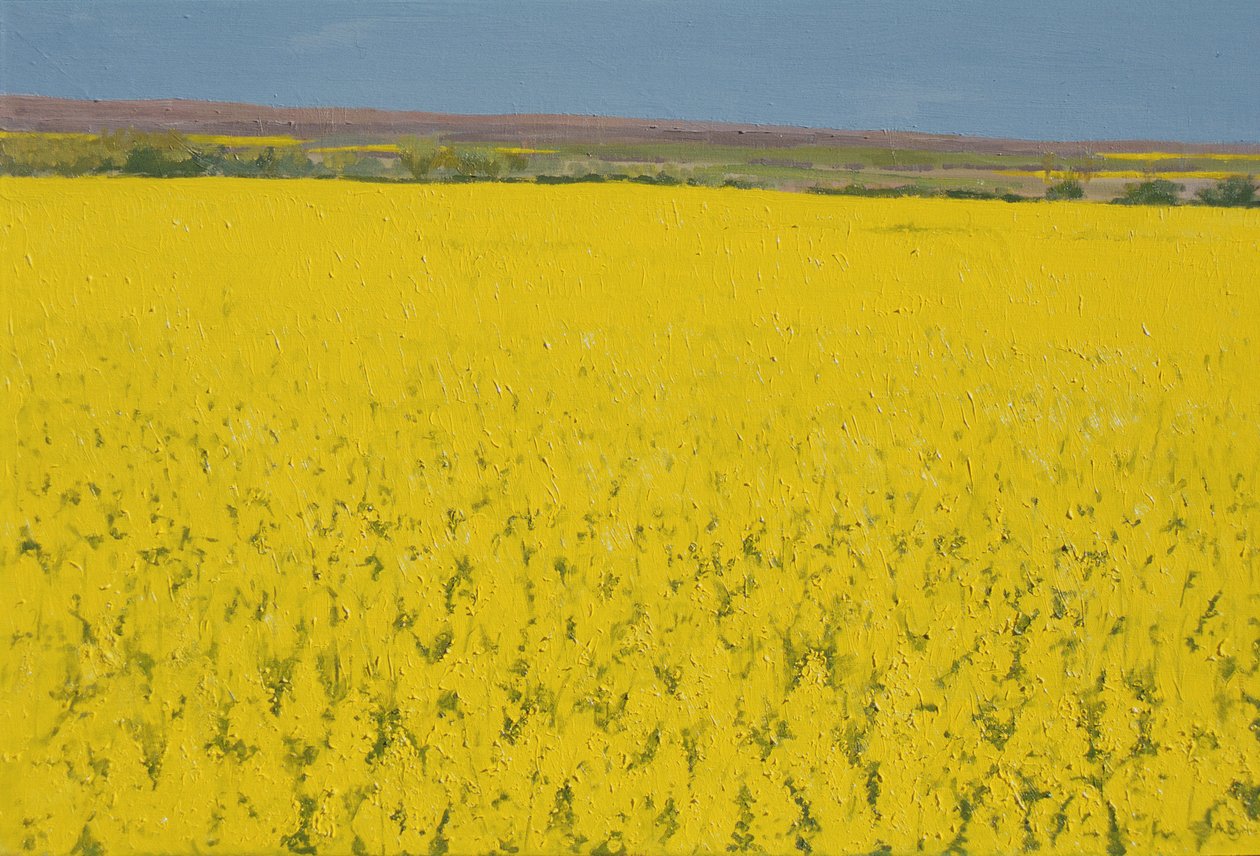 Campo de estupro, 2003 de Alan Byrne
