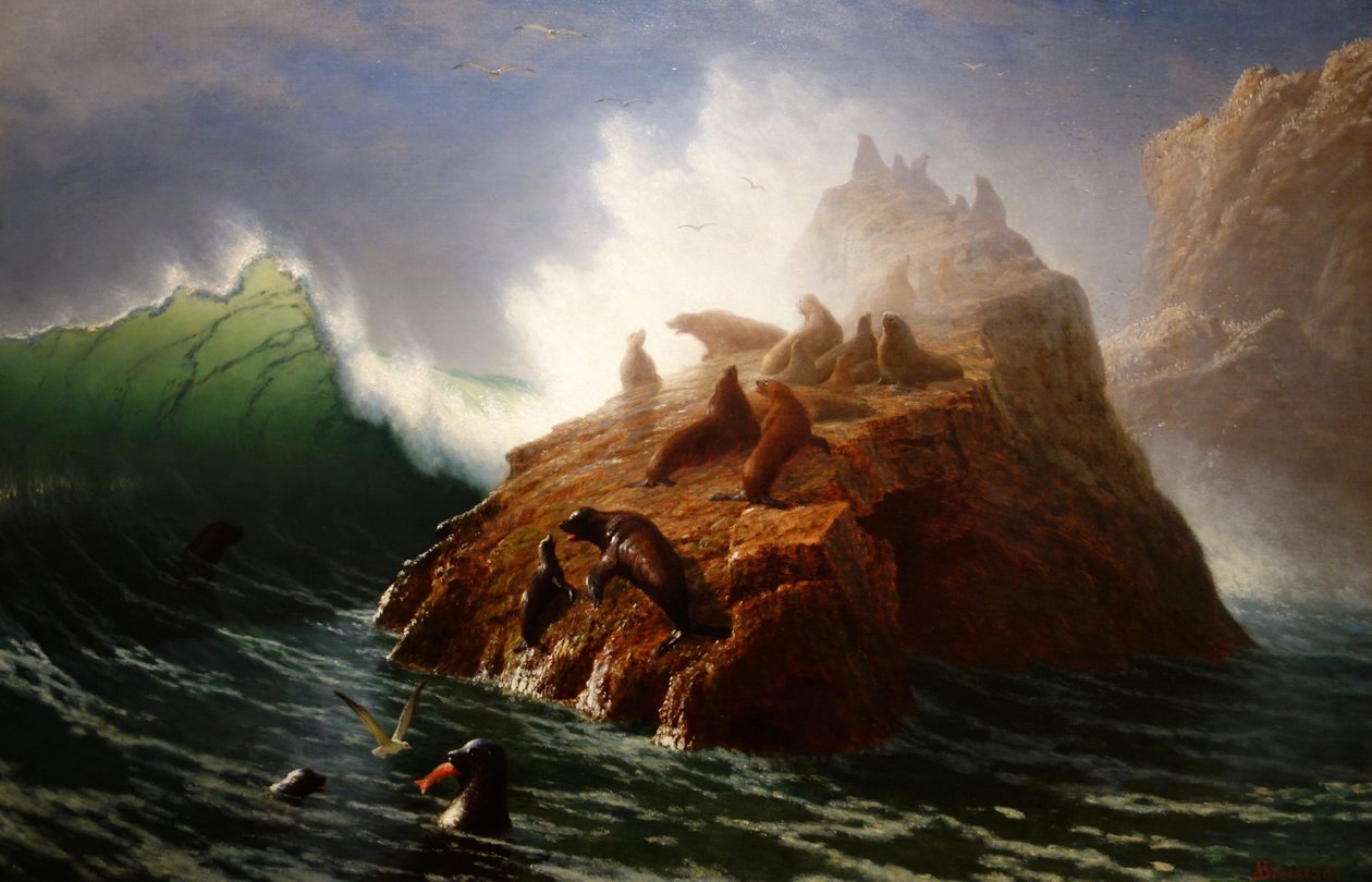 Seal Rock de Albert Bierstadt