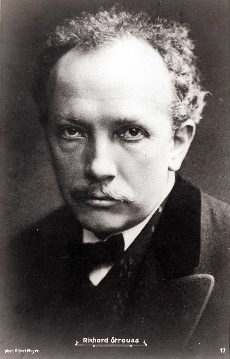 Richard Strauss de Albert Meyer