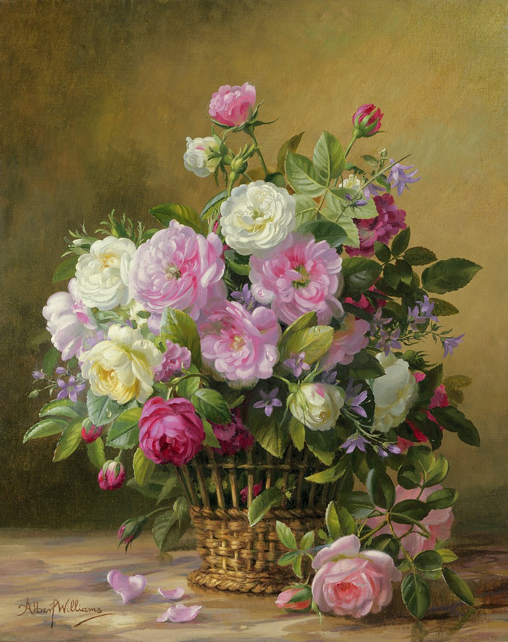 AB58A Rosas de Albert Williams