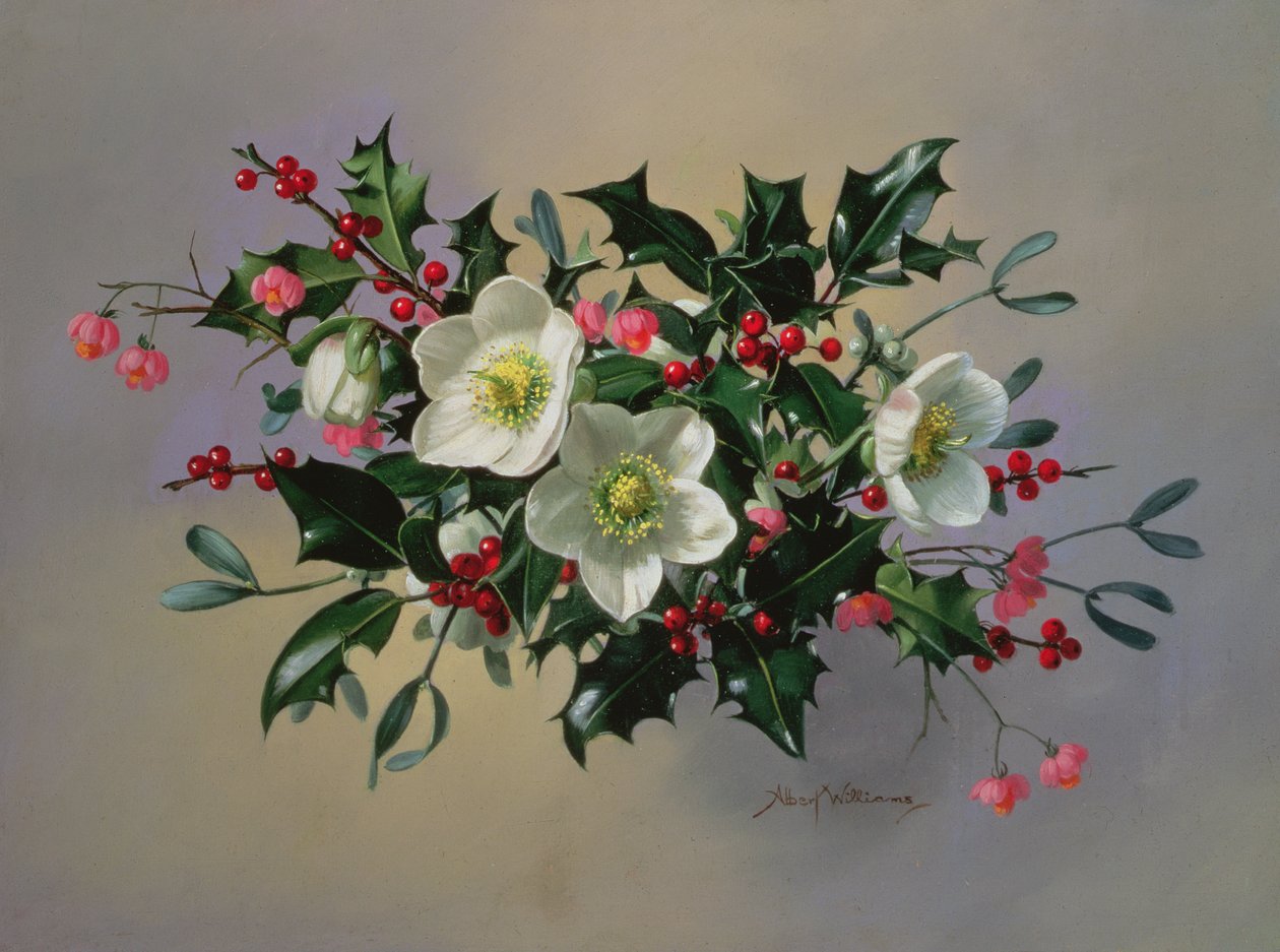 Rosas de Natal AB89 de Albert Williams