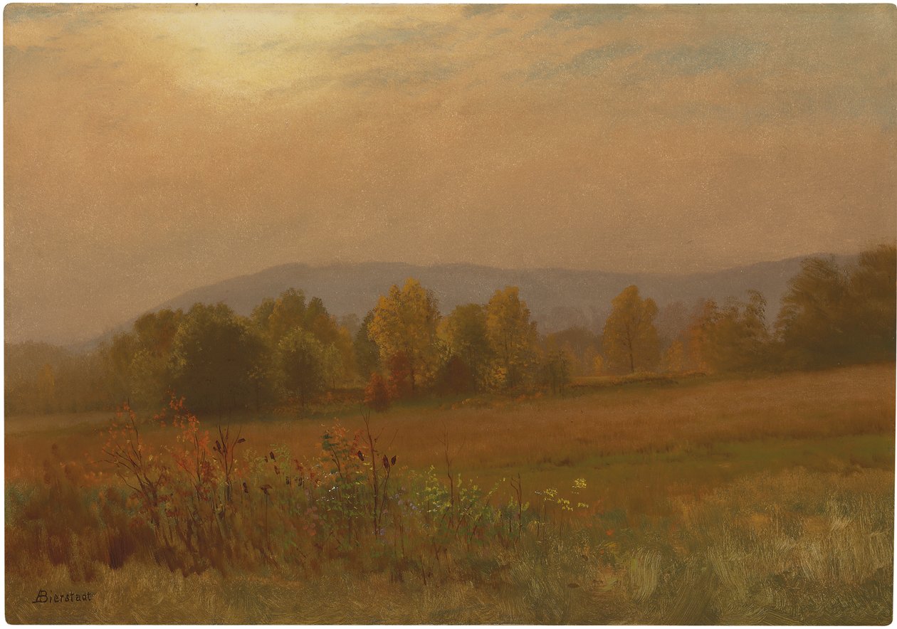 Imagem desconhecida de Albert Bierstadt
