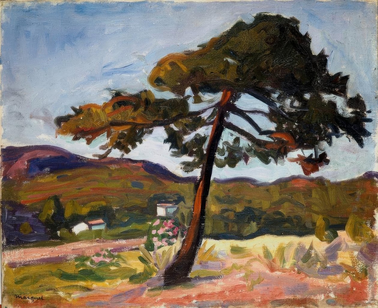 Pinheiro em St. Tropez de Albert Marquet
