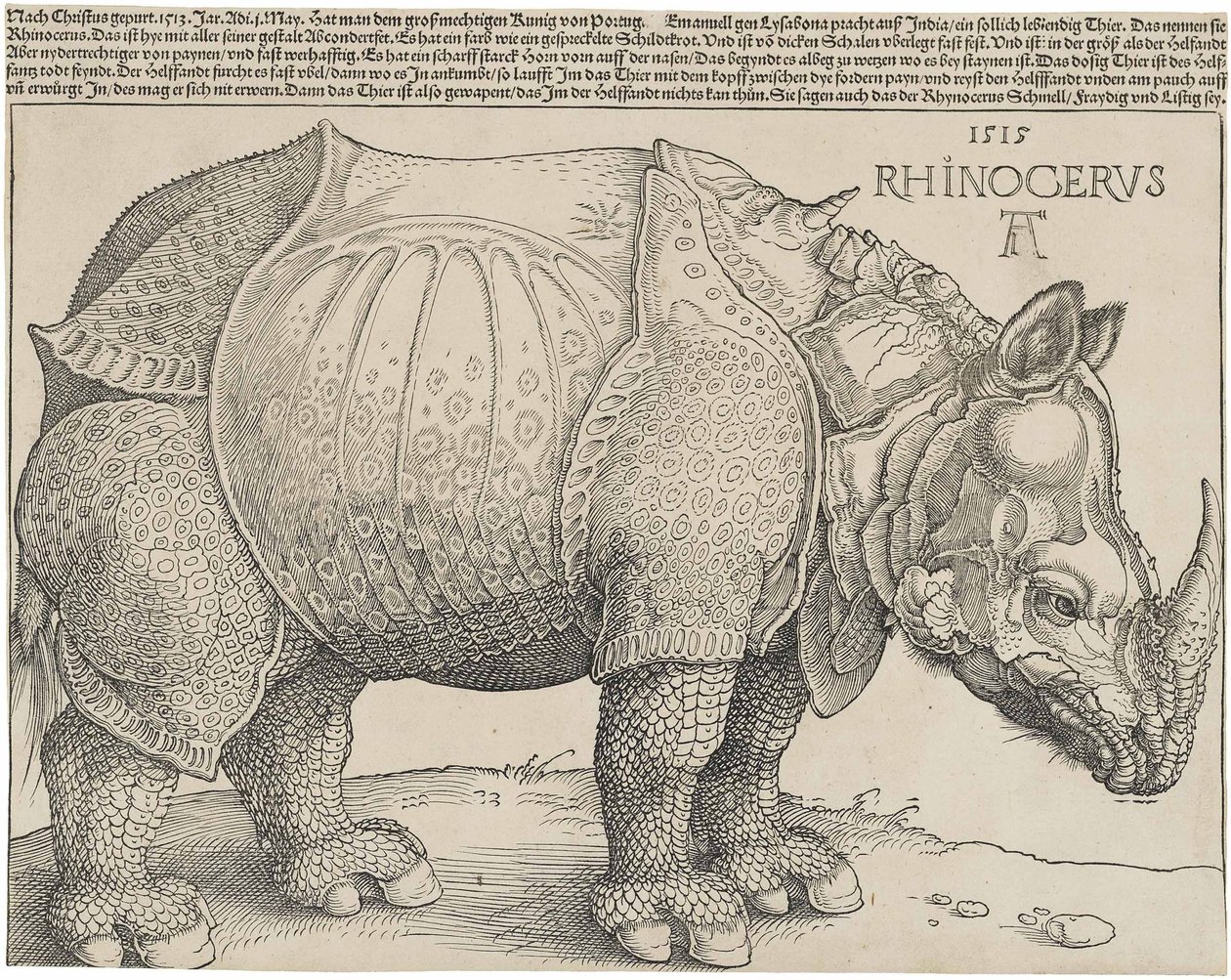 O rinoceronte, 1515 de Albrecht Dürer