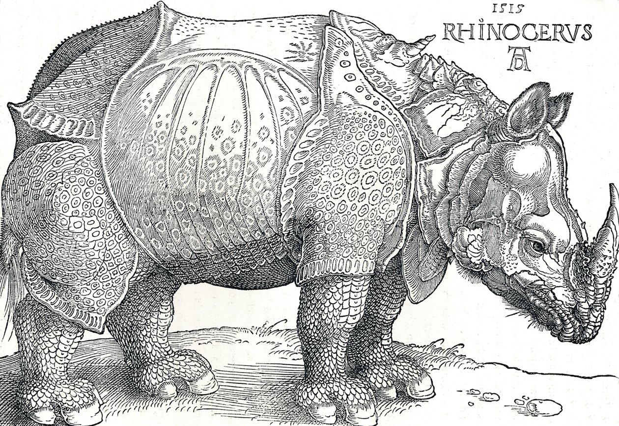 Um rinoceronte, 1515, 1906 de Albrecht Dürer
