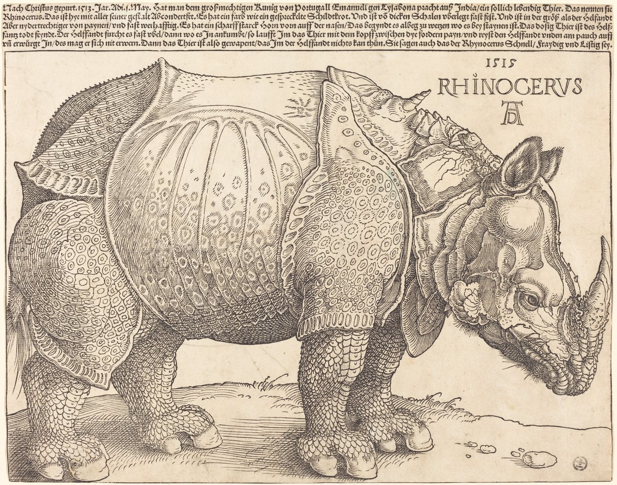 O Rinoceronte de Albrecht Dürer