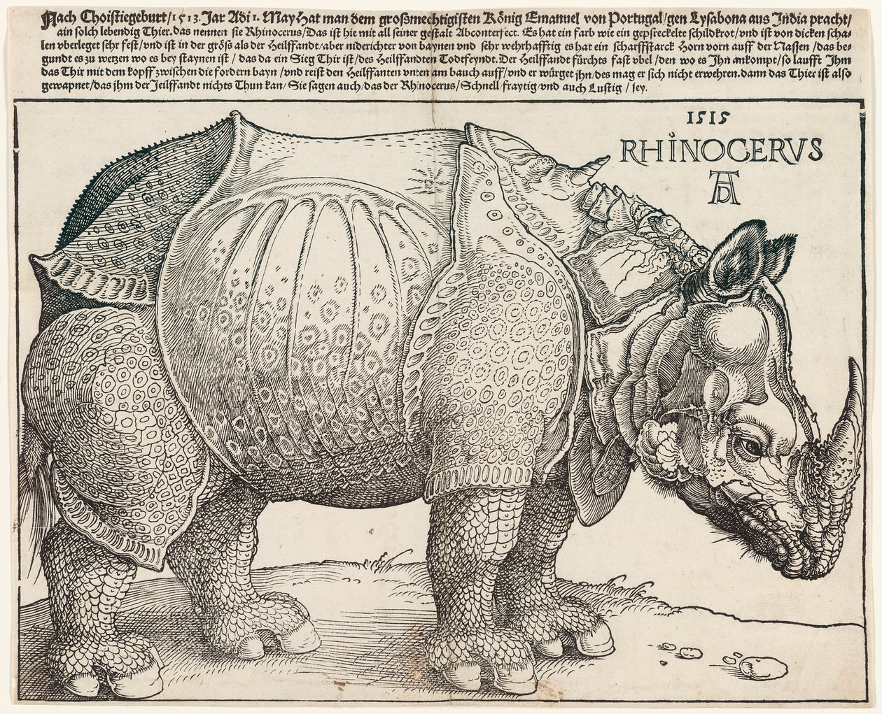 O Rinoceronte de Albrecht Dürer