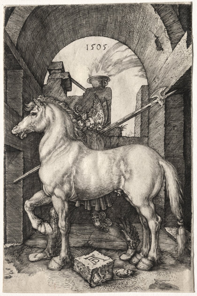 O cavalo pequeno, 1505. de Albrecht Dürer