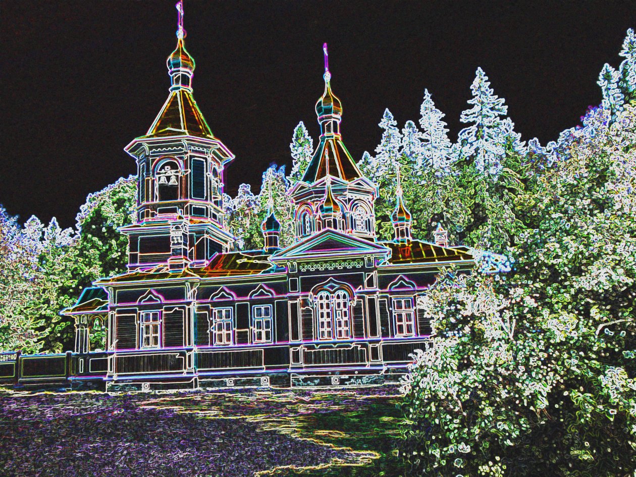 floresta mágica, 2017, de Alex Caminker