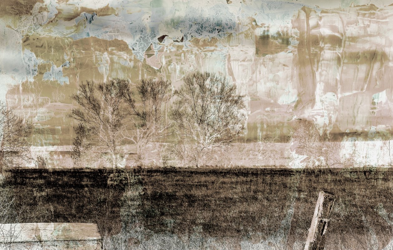 brown fog,2019,(mixed media) de Alex Caminker