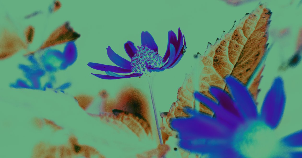uv vsion,2019,(colagem) de Alex Caminker