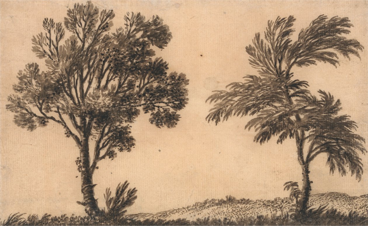 Estudo de Dois Salgueiros de Alexander Cozens
