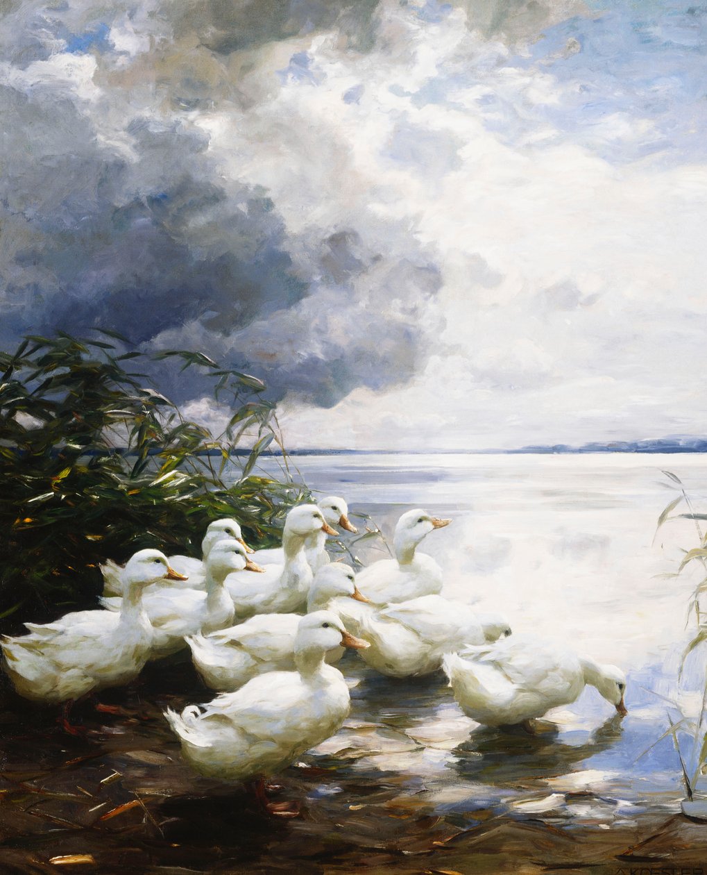 Patos na Borda do Lago de Alexander Koester