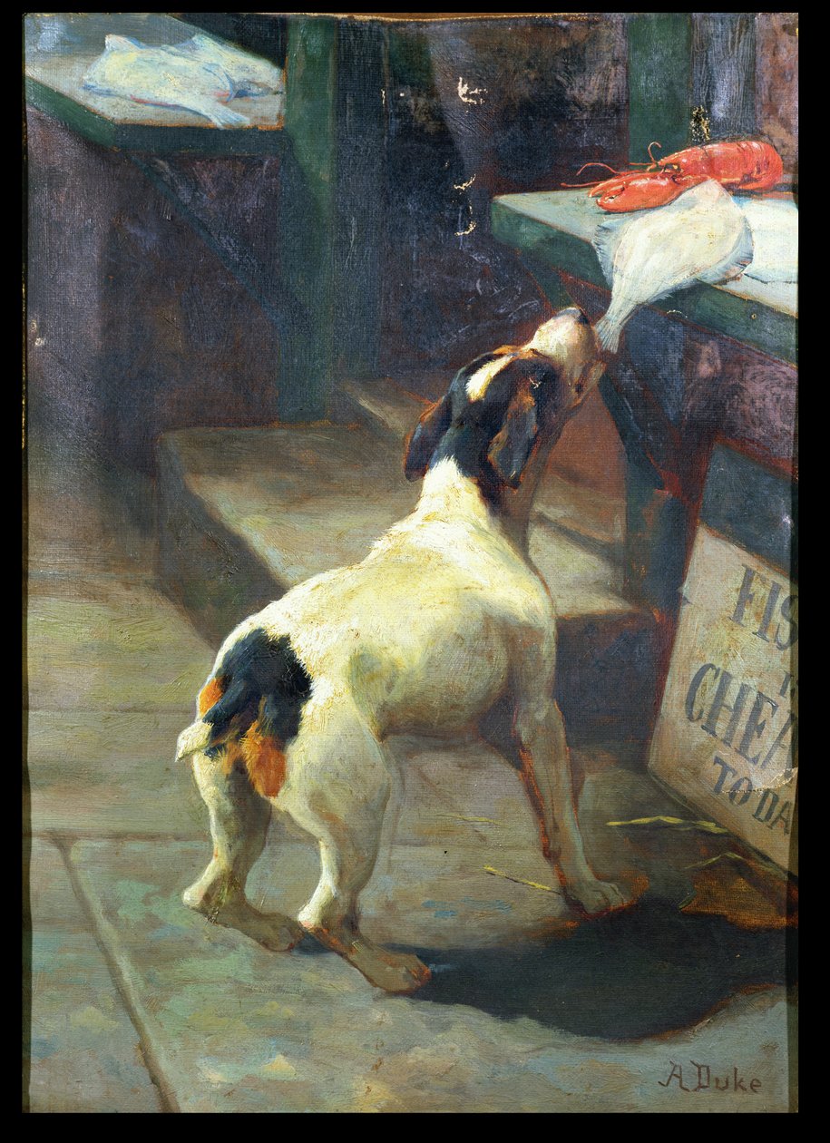 O peixe é barato hoje de Alfred Duke