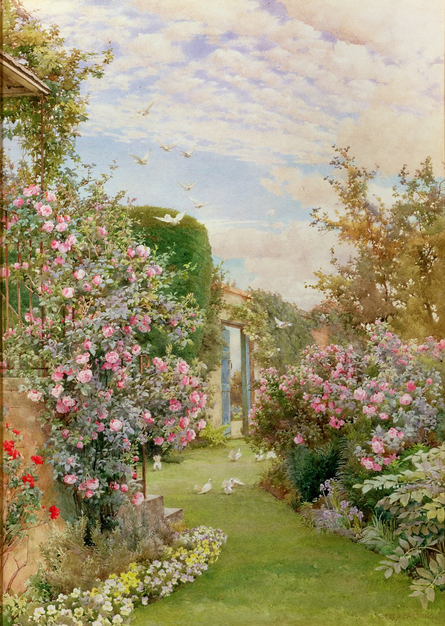 Rosas da China, Broadway de Alfred Parsons