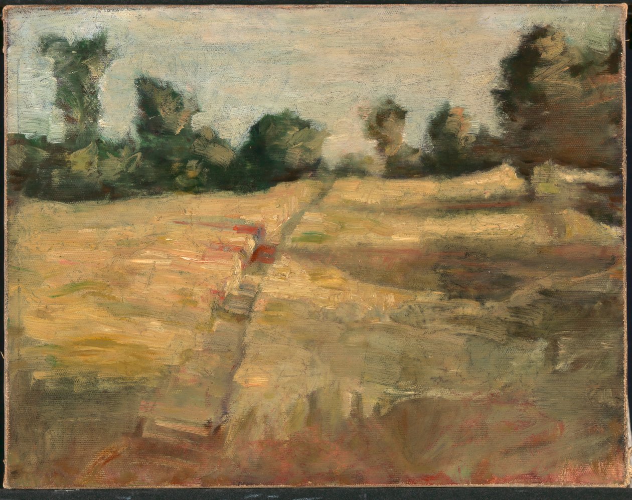 Floresta. de Alice Pike Barney