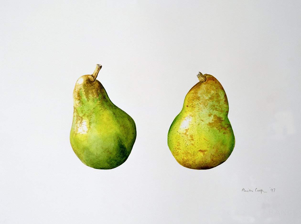 Um par de peras, 1997 de Alison Cooper