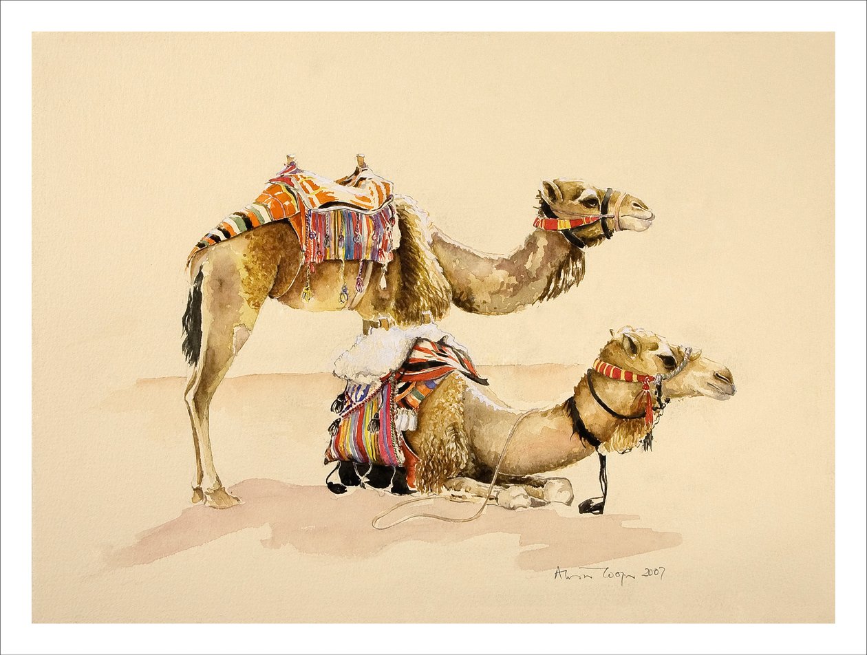 Camelos de Petra, 2007 de Alison Cooper