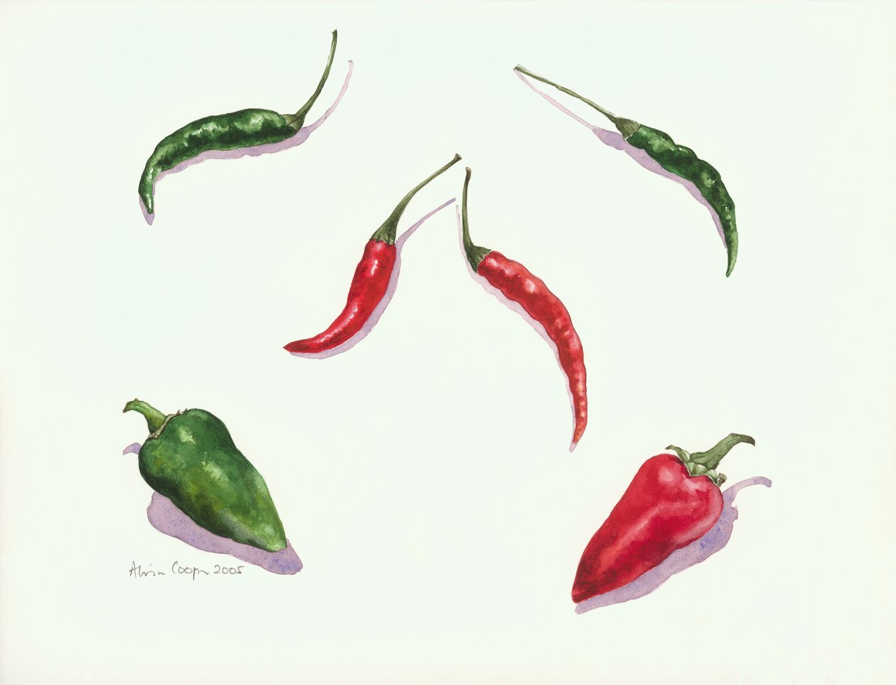 Pimentas e Pimentas, 2005 de Alison Cooper