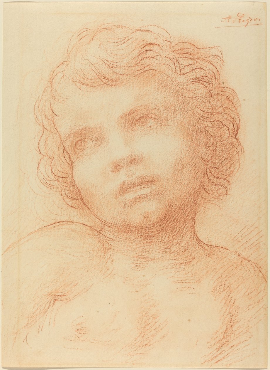 Cabeça de uma criança. de Alphonse Legros