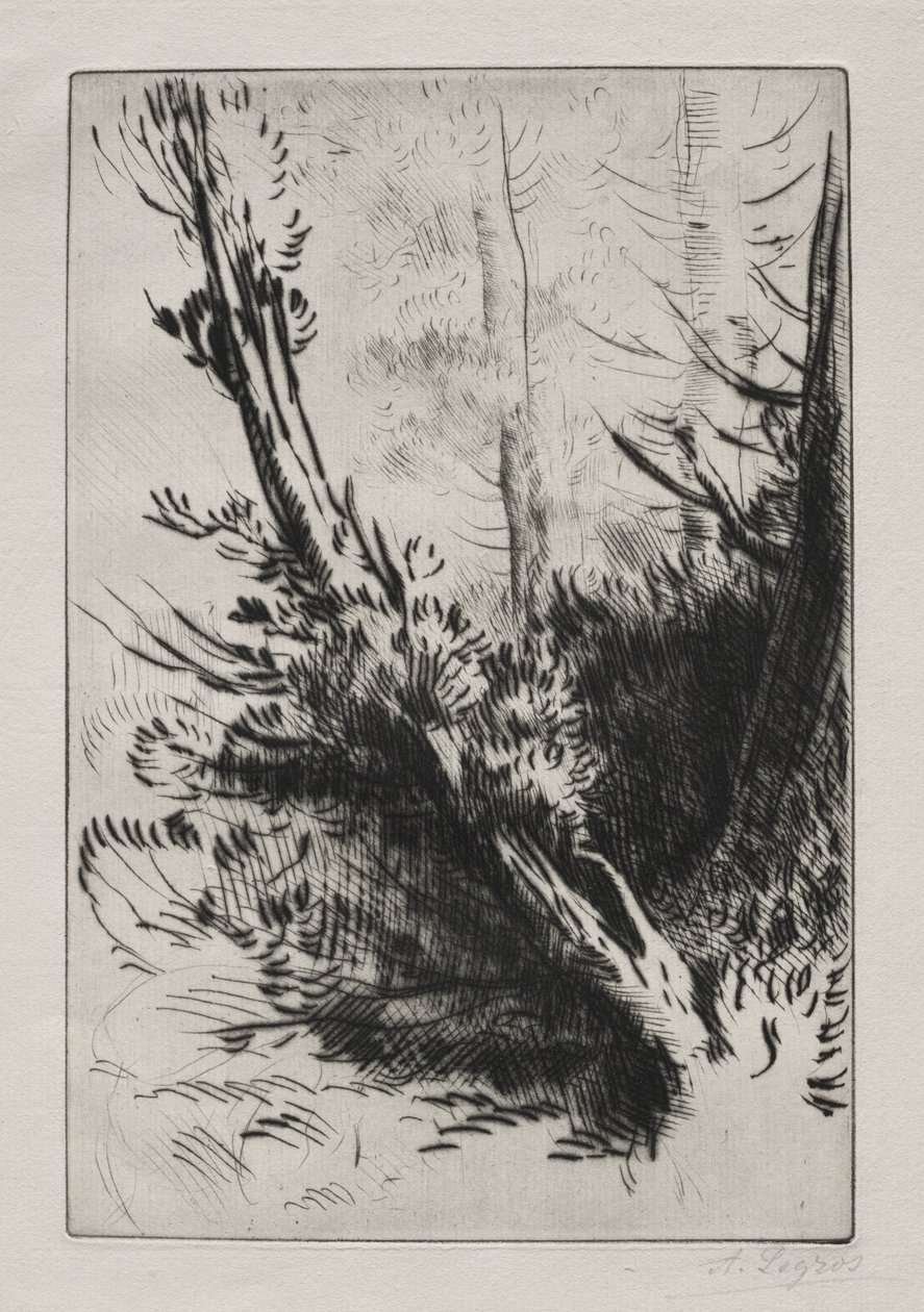 Na floresta. de Alphonse Legros