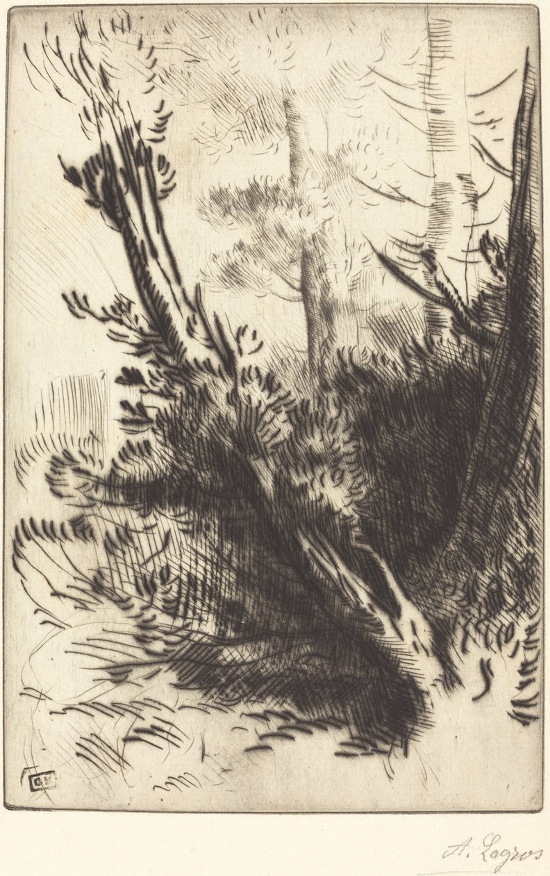 Na Floresta Na Floresta. de Alphonse Legros