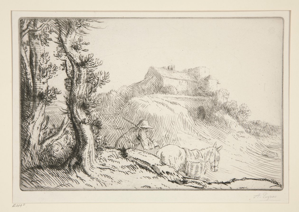 A Fazenda do Morro de Alphonse Legros