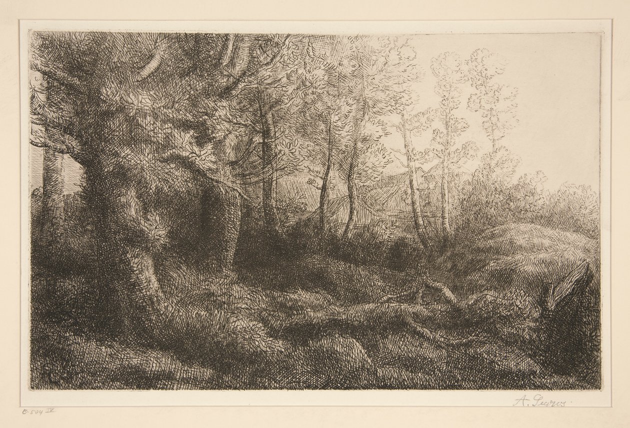 Lisiere de Foret de Alphonse Legros