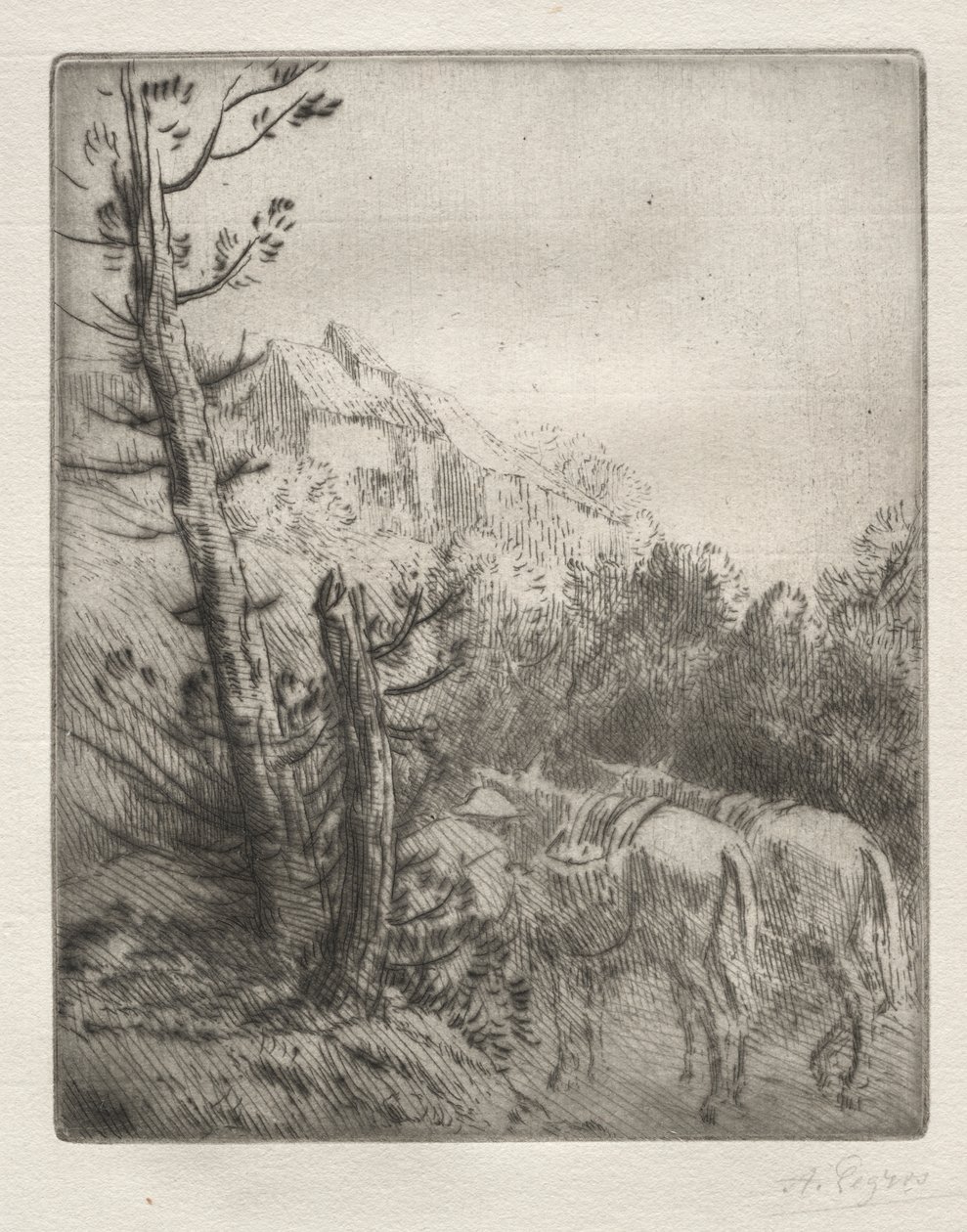 A Fazenda do Morro de Alphonse Legros