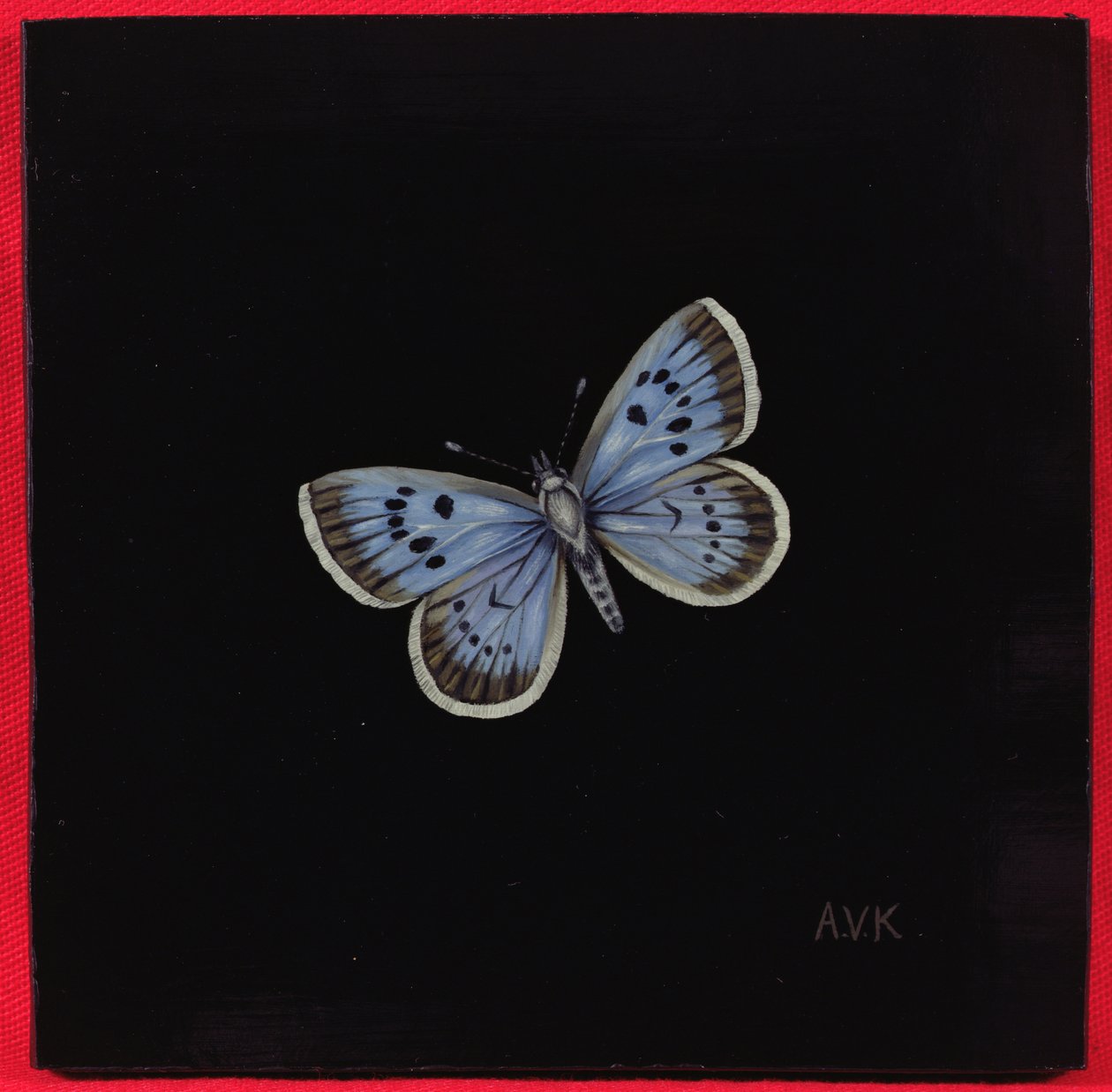 Borboleta azul grande, 2000 de Amelia Kleiser