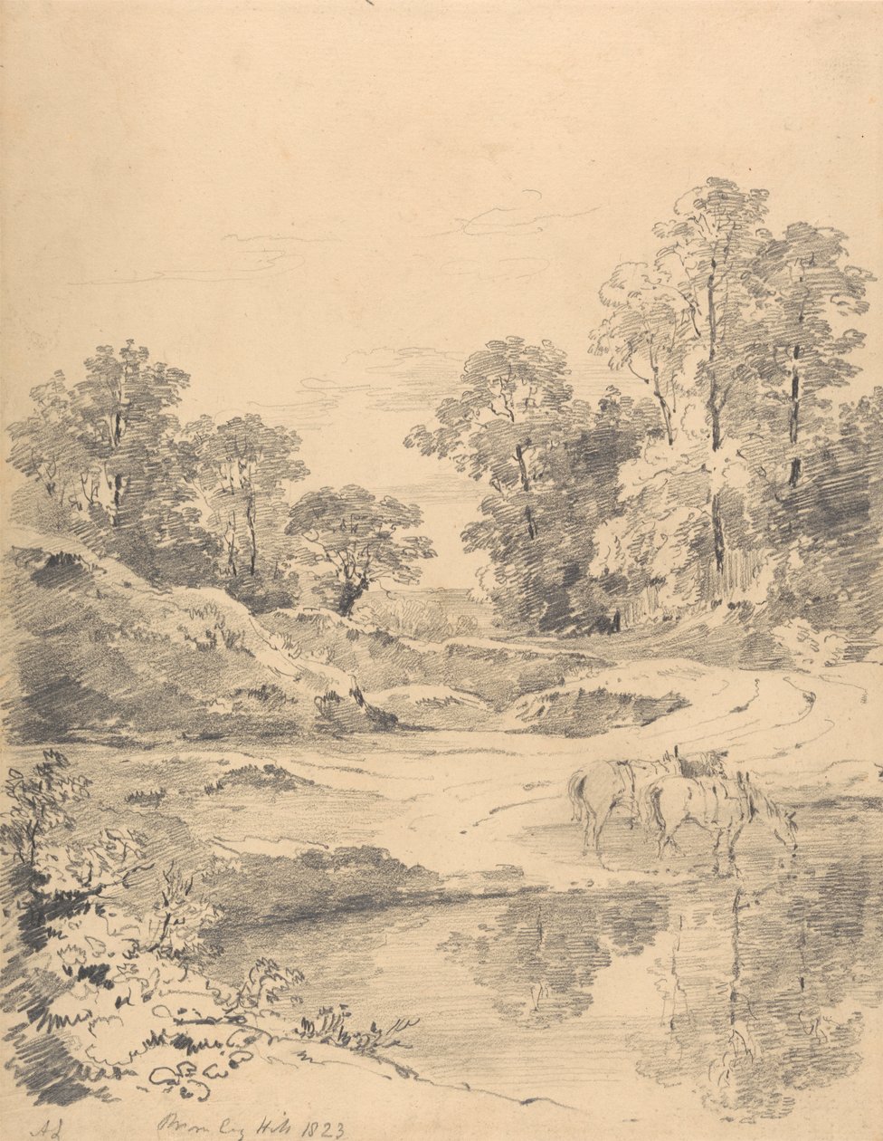 Bromley Hill, Kent de Amelia Long